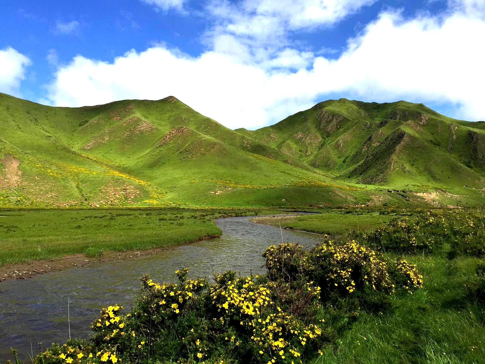 甘南藏族自治州碌曲县