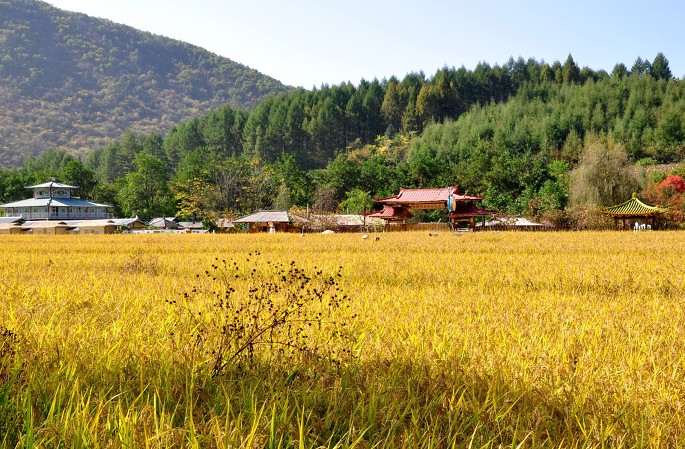 丹东市宽甸县319省道下露河乡马架子村