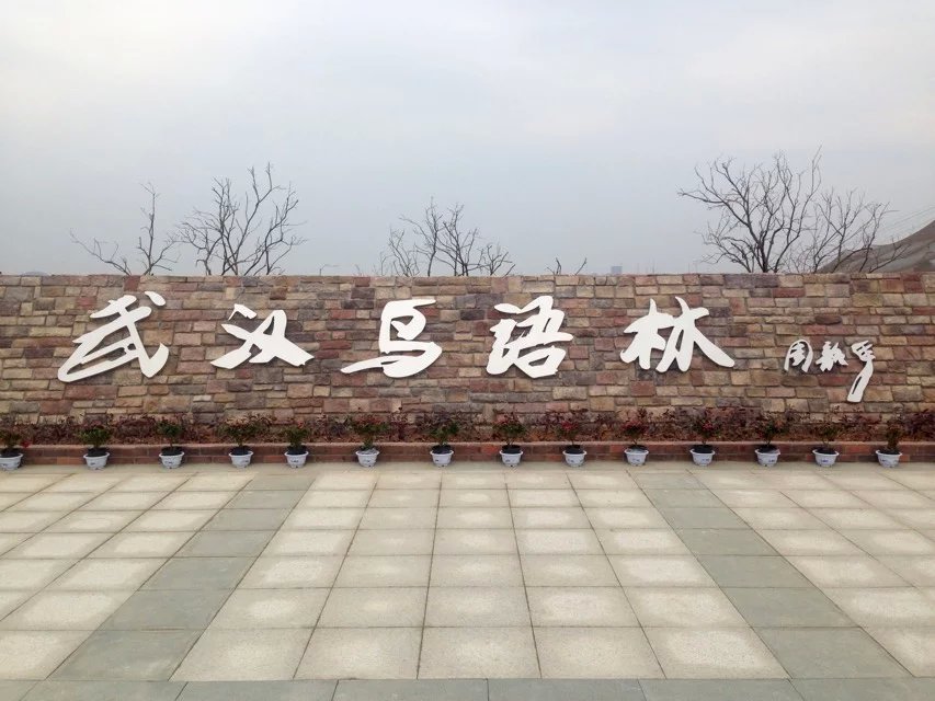 鸟雨林_武汉_百度地图