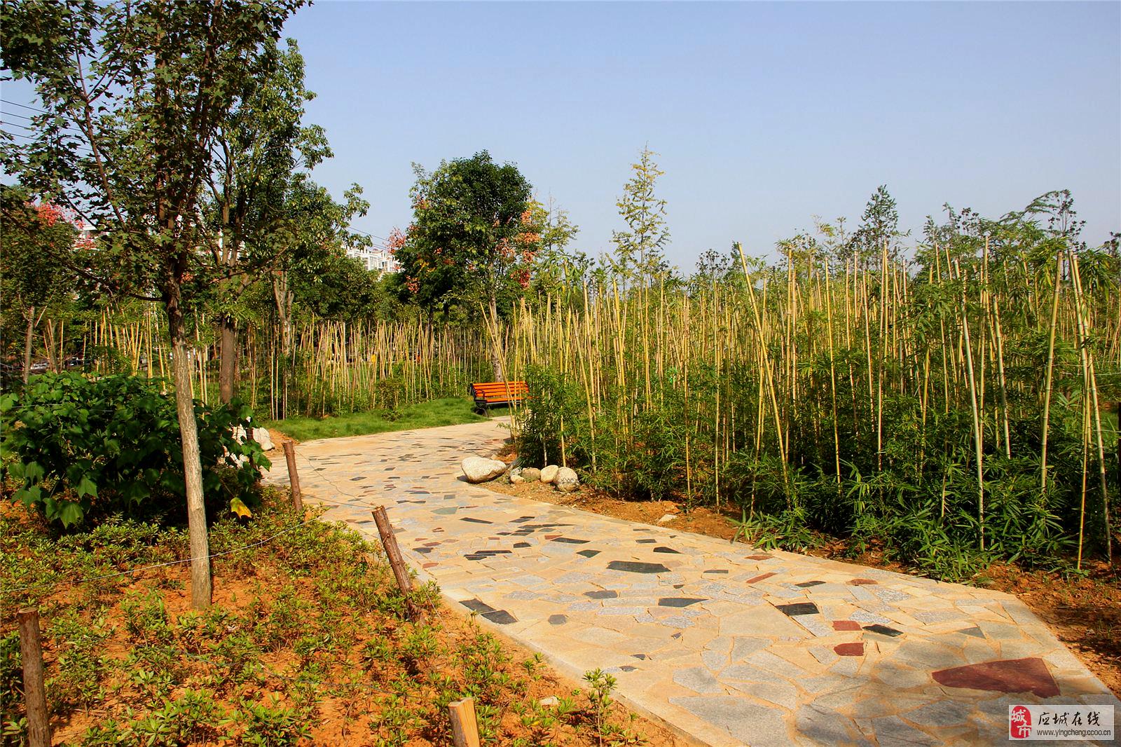 蒲阳绿荫公园(长荆公园)_孝感_百度地图