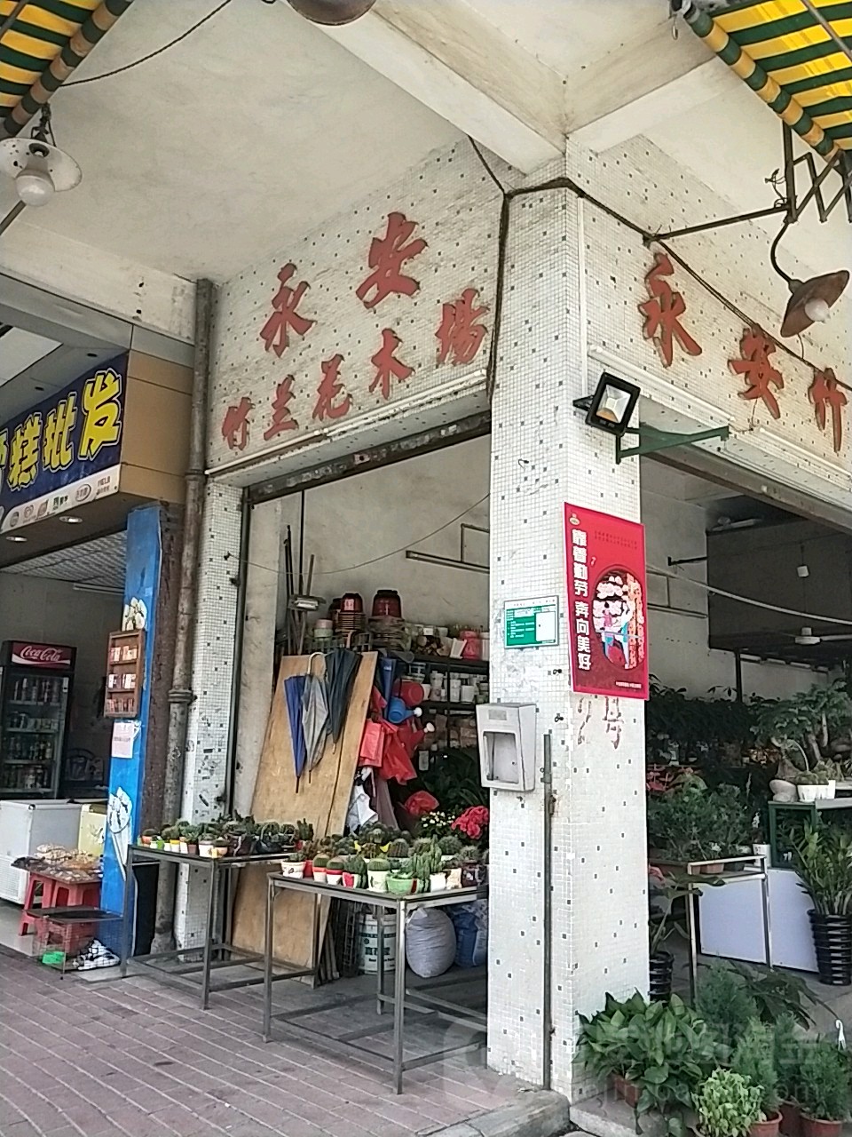 永安竹兰花木场