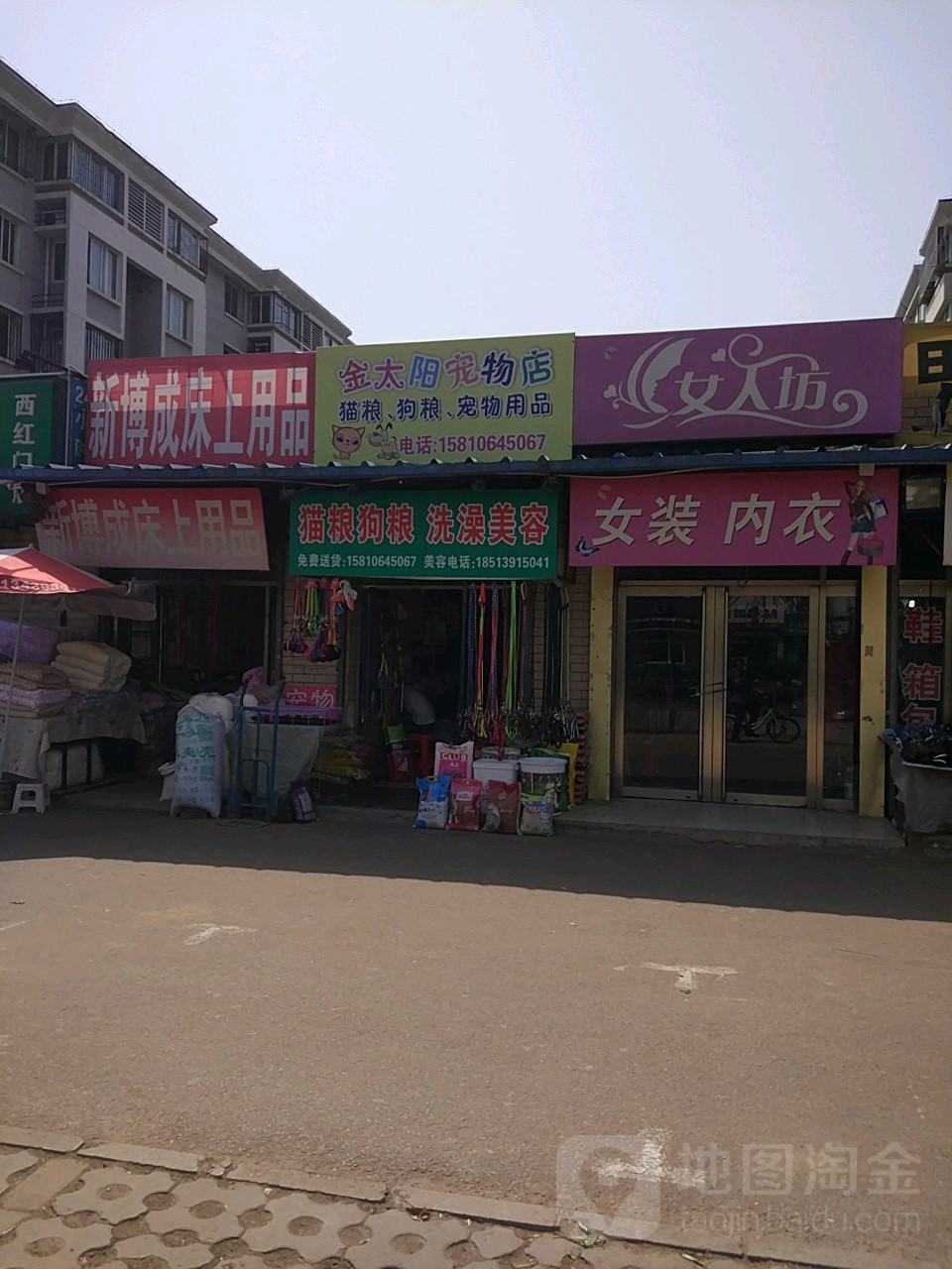 金太旸宠物店