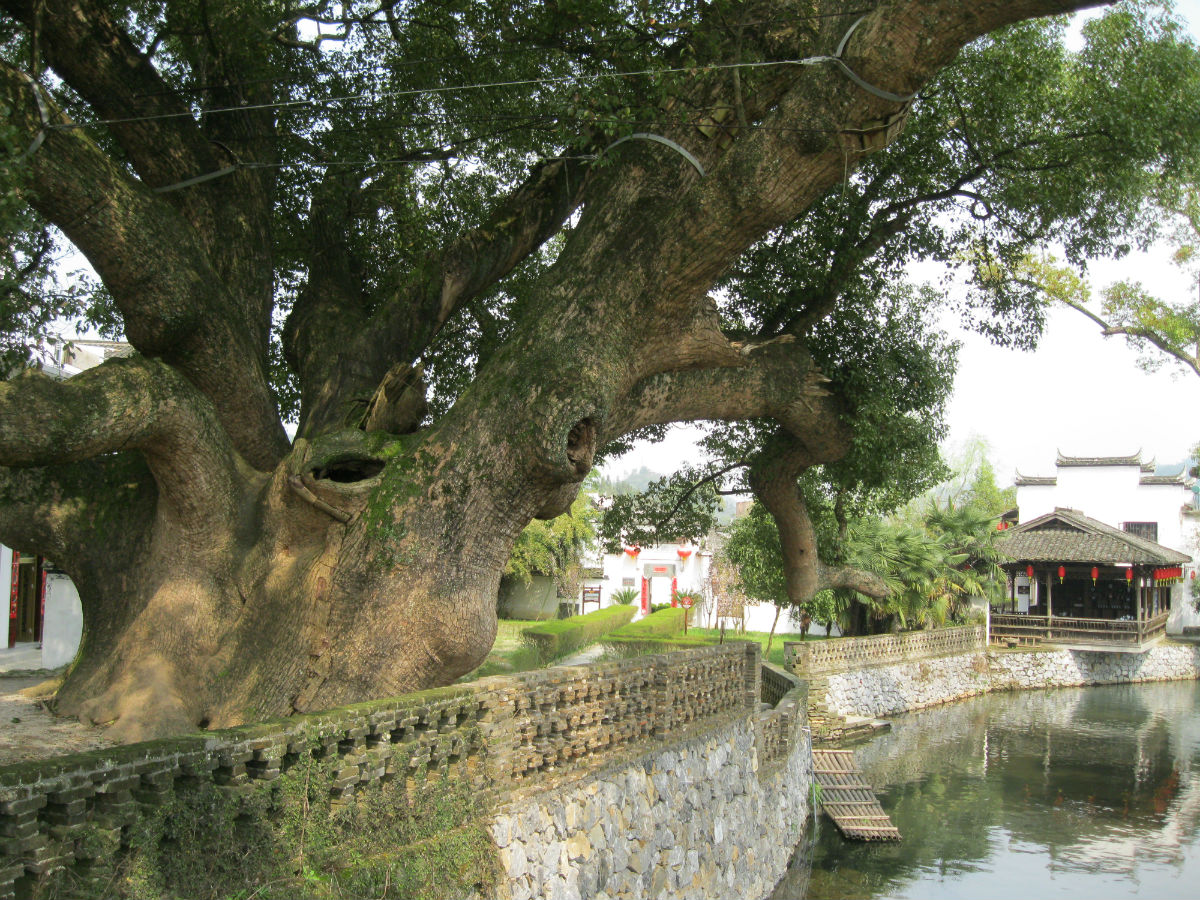 上饶市婺源县赋春镇严田村