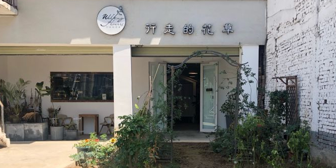 行走的花草