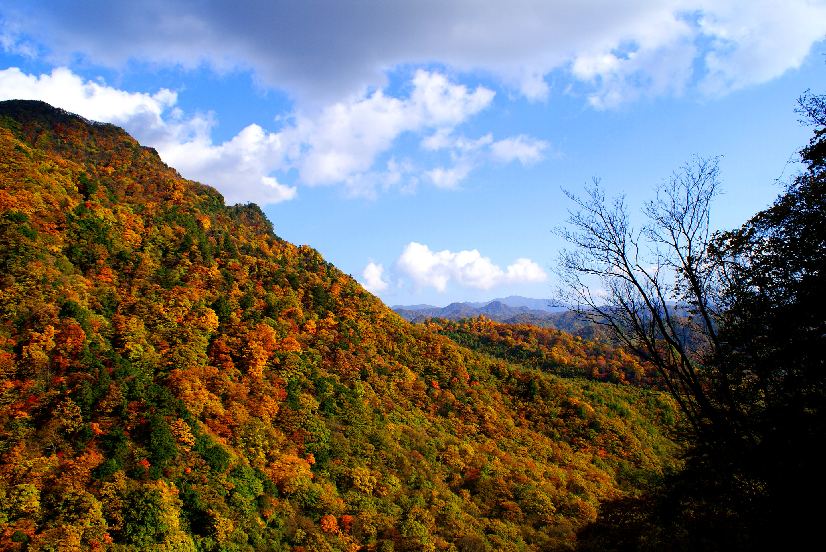 光吴山-诺水河世界地质公园