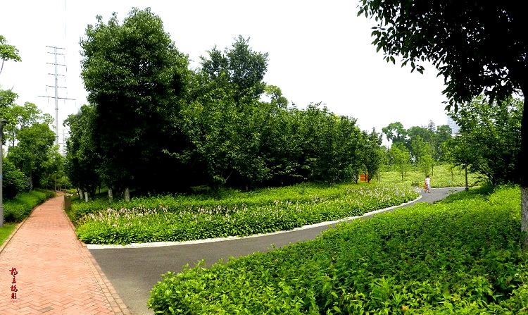 常州高铁生态公园(南四路)