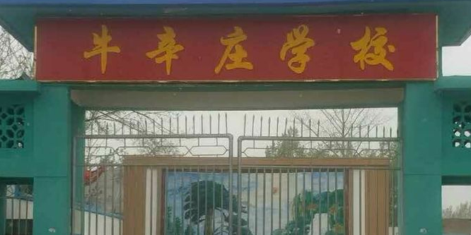 河北省石家庄市无极县牛辛庄学校(赵牛线西)