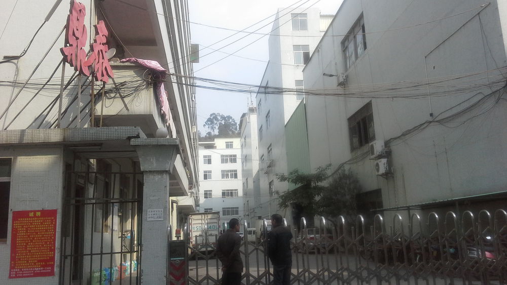 鼎泰