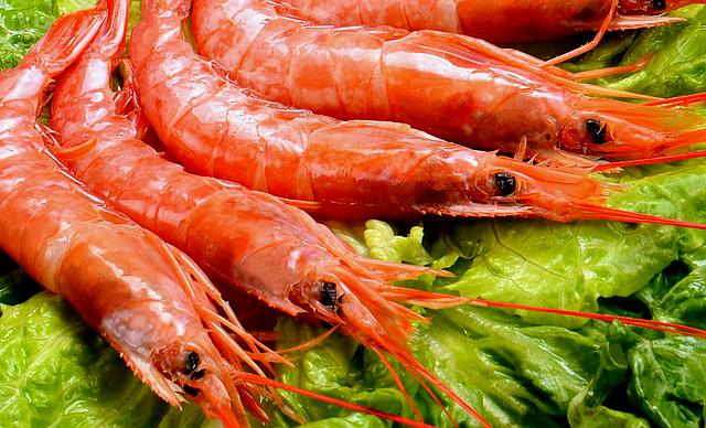 蓉蓉火锅城(义耕店)