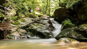 九溪山森林公国