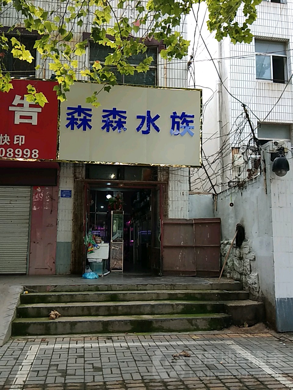 森森水(人民南路店)