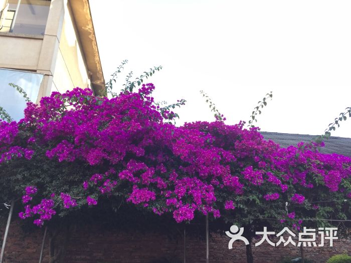 东北人家(214国道店)