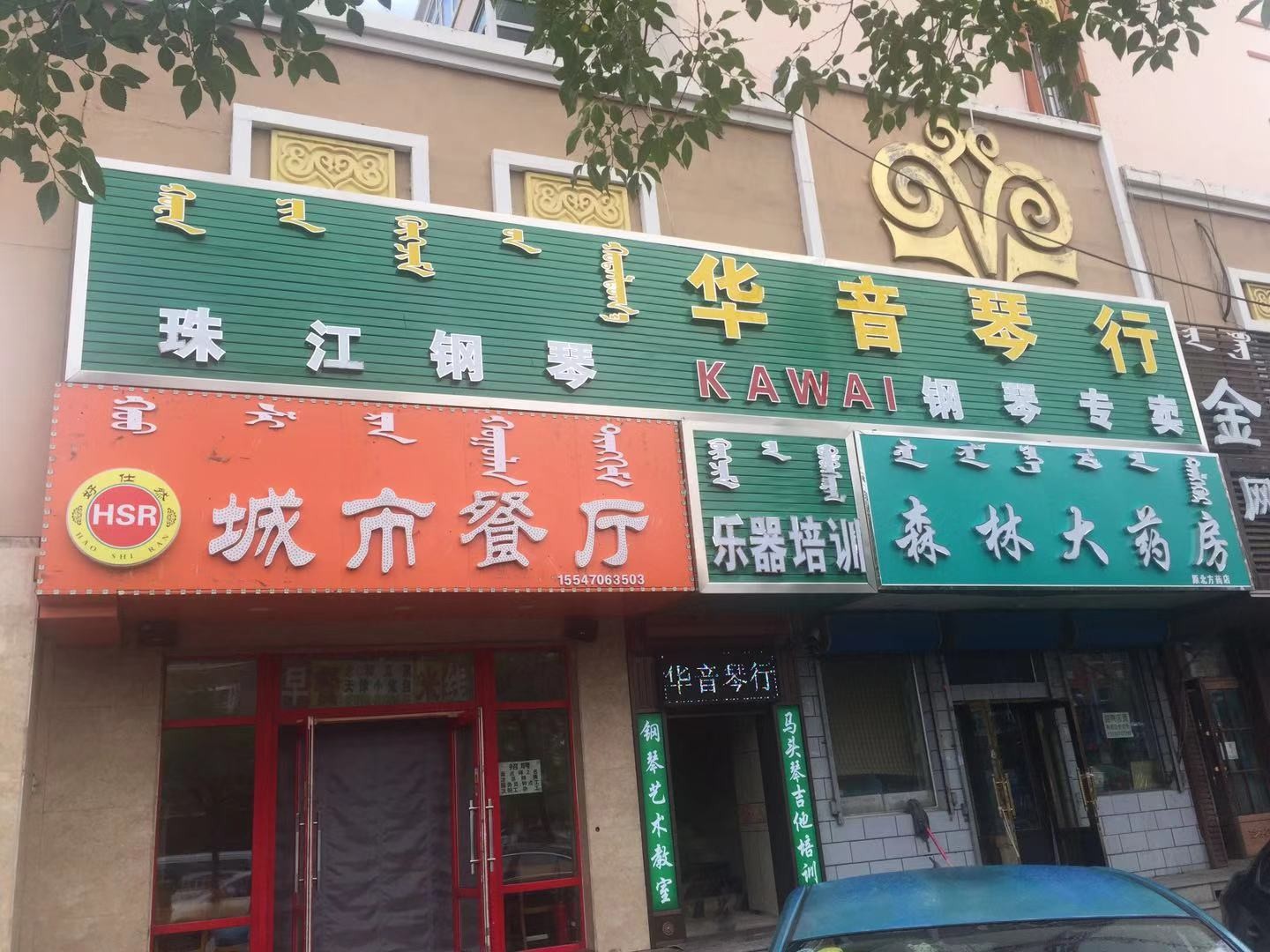 华音琴行(北大街店)