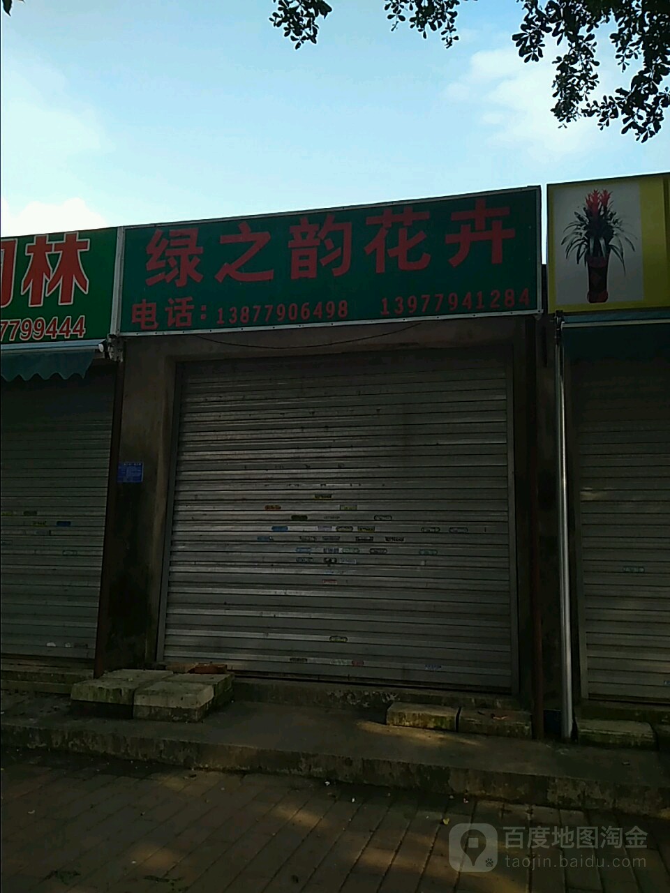 绿之韵花卉(重庆路店)