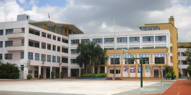 深圳市龙岗区鹏达学校