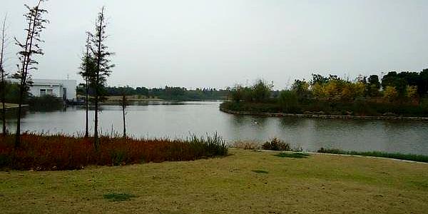 单县滨河湿地公园图片