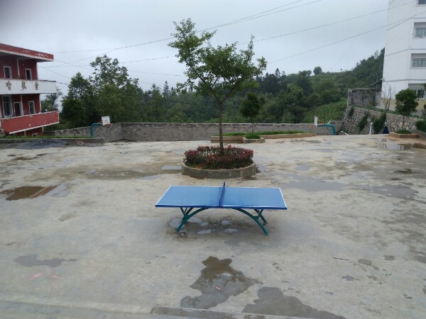 羊场小学