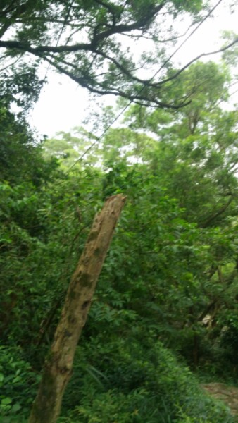 福清石竹山旅游索道