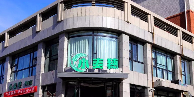 小麦穗(松石雅居店)