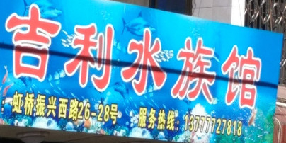 乐清市虹桥吉利水族管