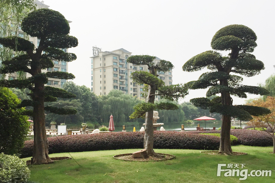 安徽省芜湖市鸠江区恒大华府(赤铸山中路北190米)