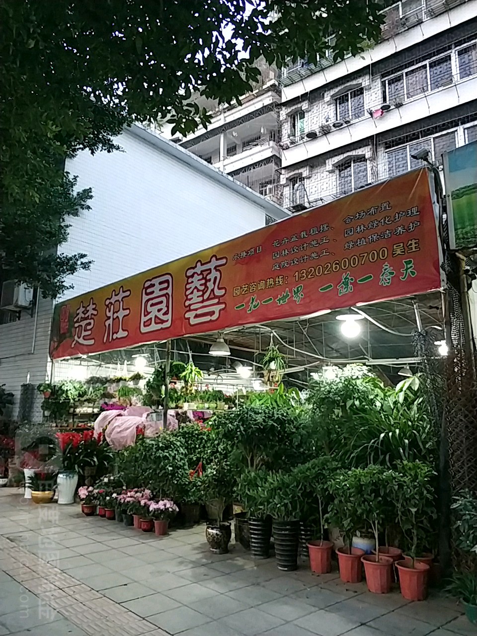 楚庄园艺