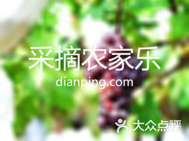 贵阳市白云区盛丰肉牛养殖场