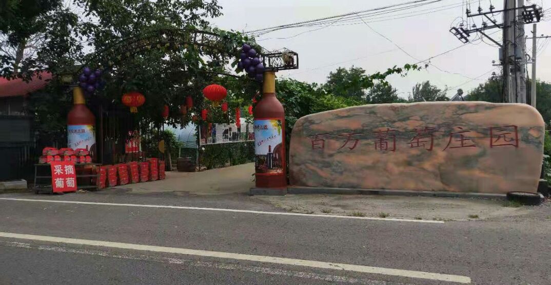 百万葡萄采摘园