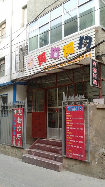 阿猫阿狗宠物店