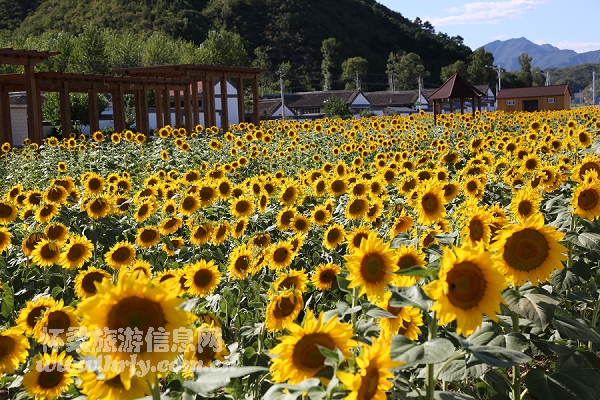 北京高寒职务园