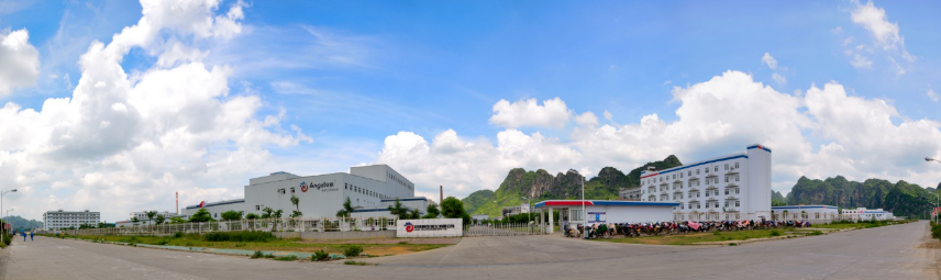 安琪酵母(崇左)有限公司