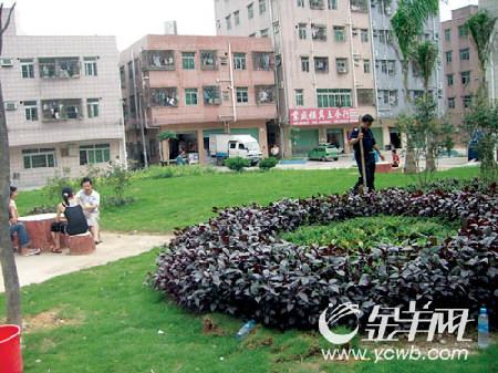 广东省深圳市龙岗区坂田街道大发埔社区百利路