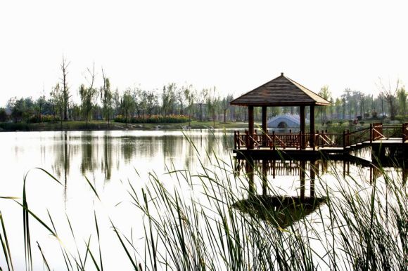 泗阳生态公园图片图片