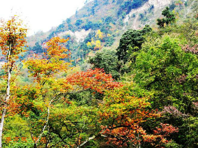 眉山市洪雅县瓦屋山风景区