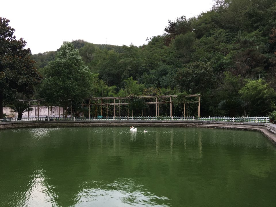 陕西省汉中市勉县温泉乡郭家湾村