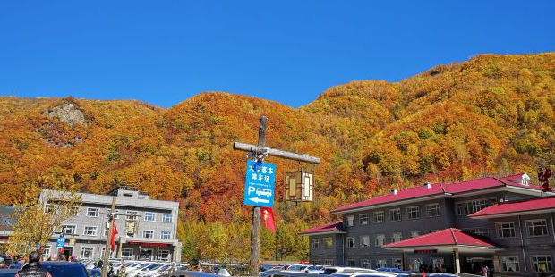 吉林省白山市长白朝鲜族自治县十五道沟村望天鹅自然风景区