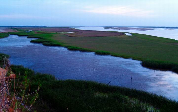 新乡黄河湿地鸟类国际级自然保护区
