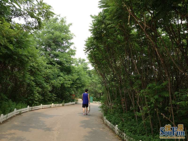 红树湾