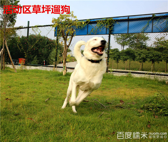 威玛特乐园