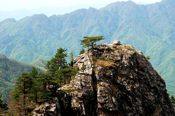 朱雀山国家森林公园-植物园