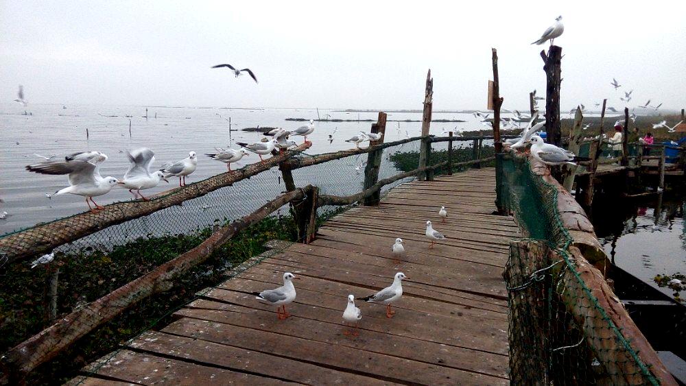 纳古镇小海公园