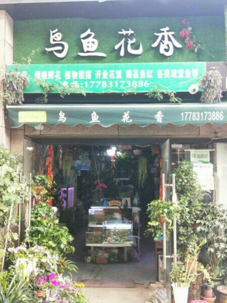 鸟鱼花香水族花店