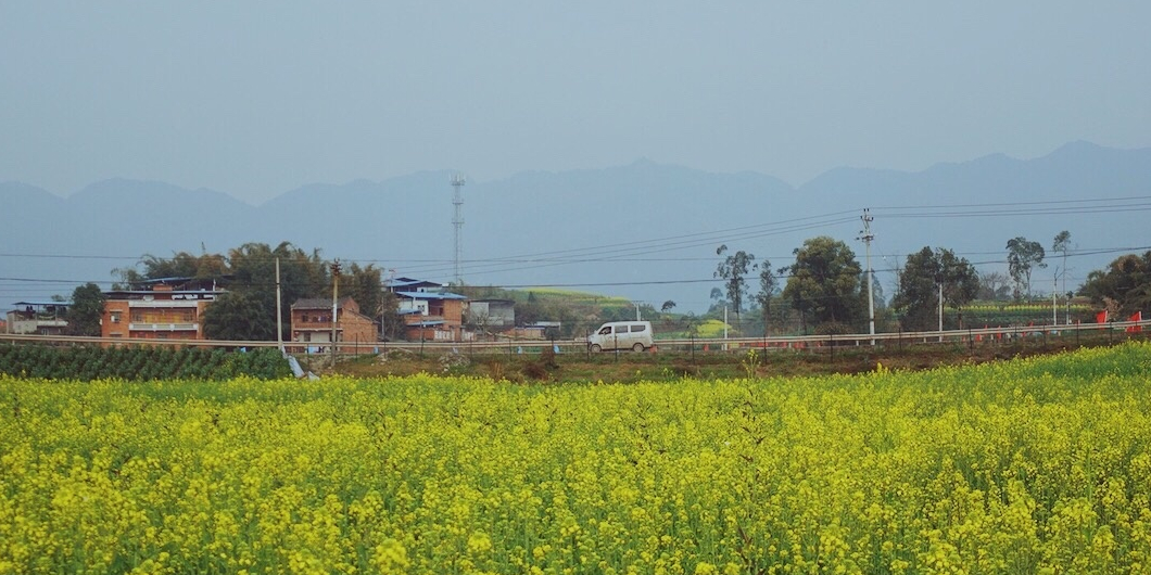 重庆市永川区青峰镇图片