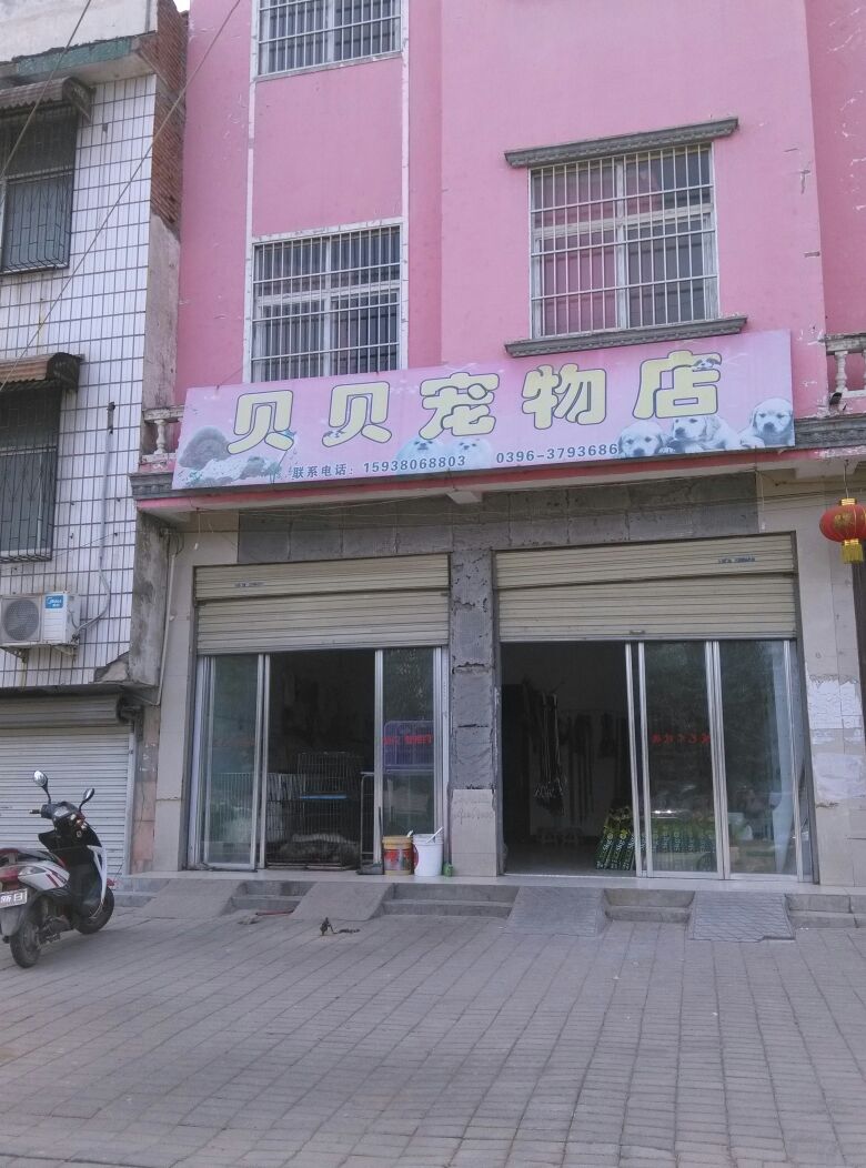 贝贝宠物店(荣光路店)