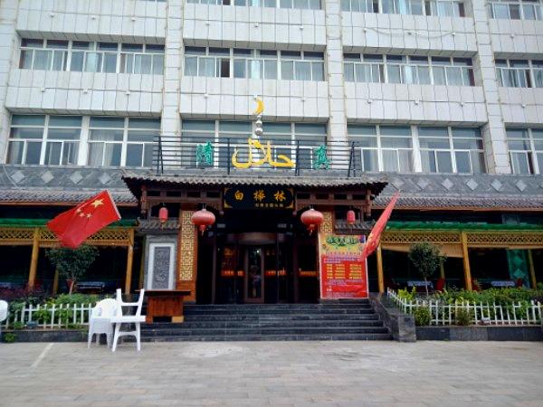 华亭县白桦林(华煤大道店)