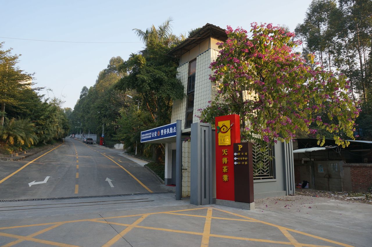东莞市天得茶业仓储中心(太安路店)