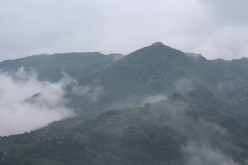 大霸雅脉露营区