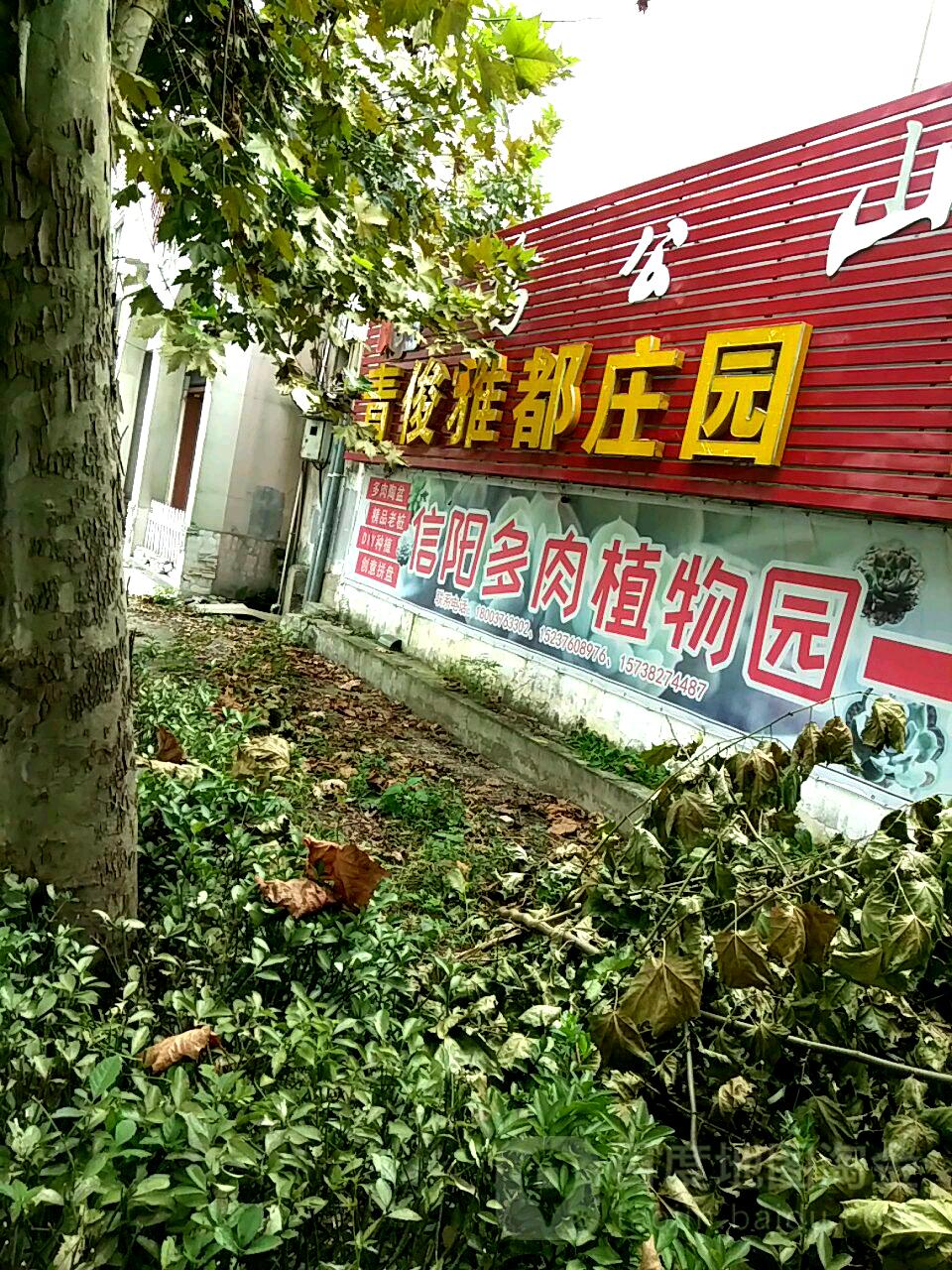 信阳多肉植物园