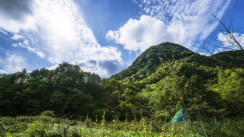 米仓山国家级自然保护去