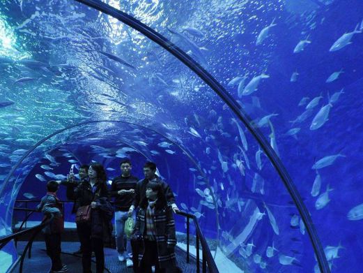 上海海洋水族館-游客中心